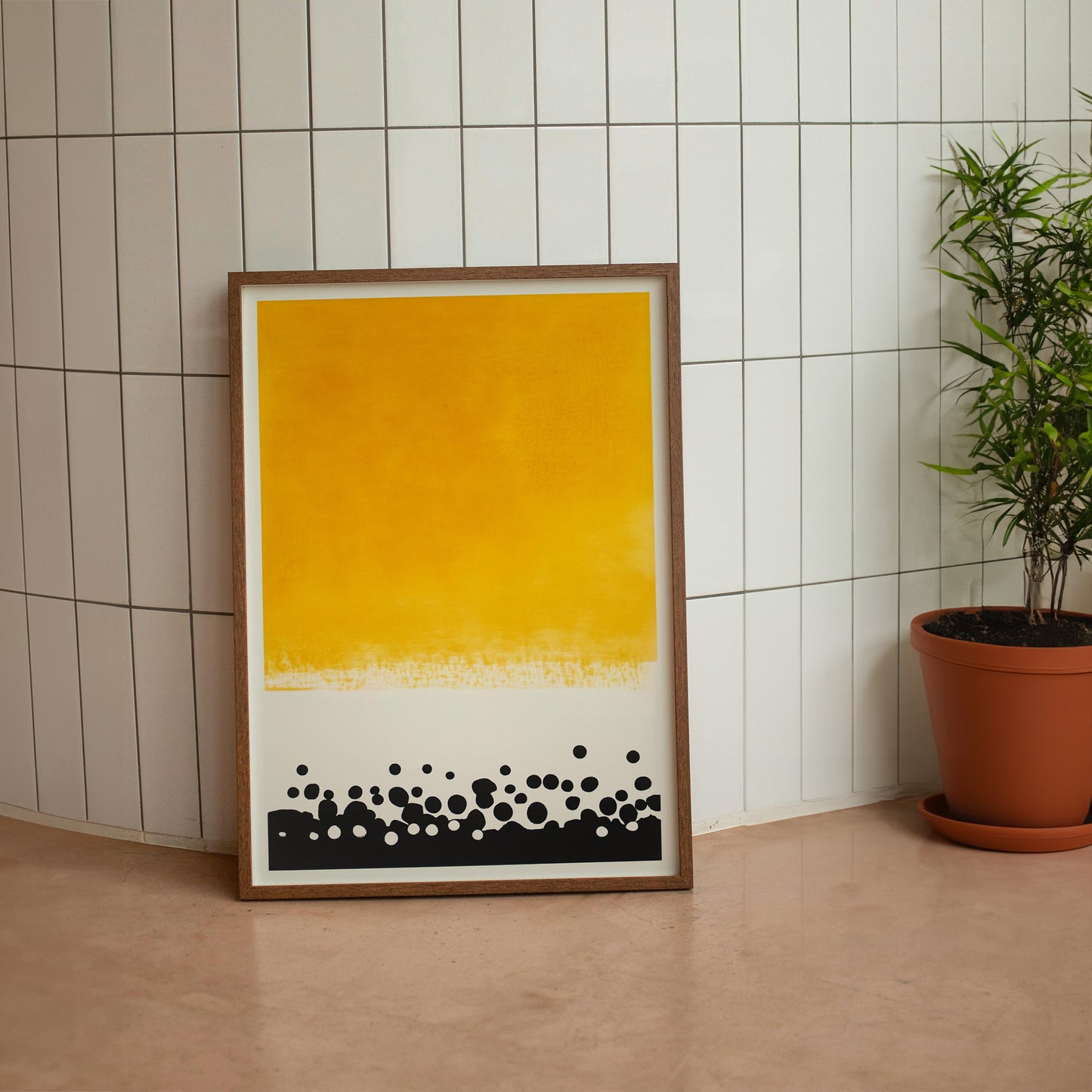 Rayon de soleil et ombre