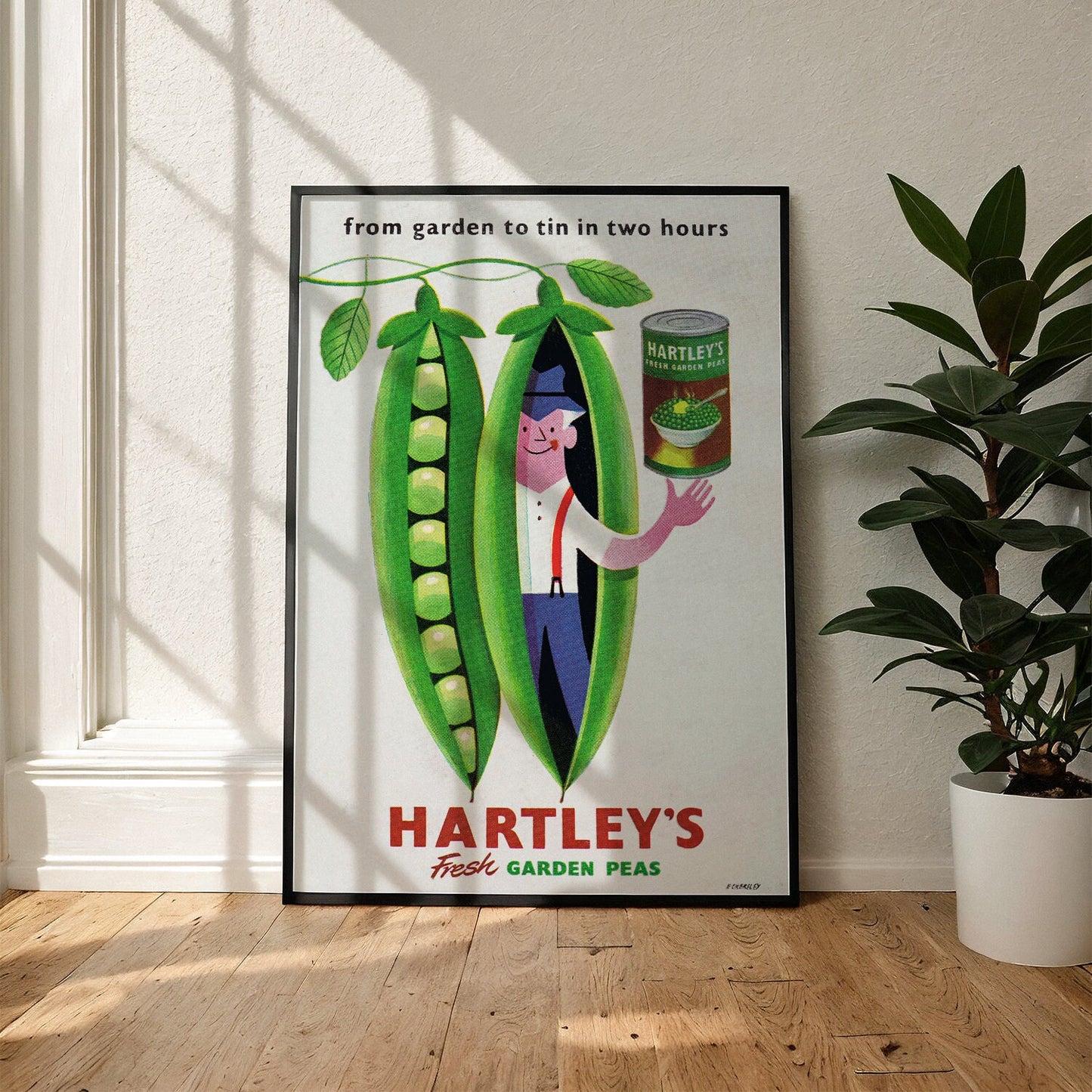 Hartleys Erbsen