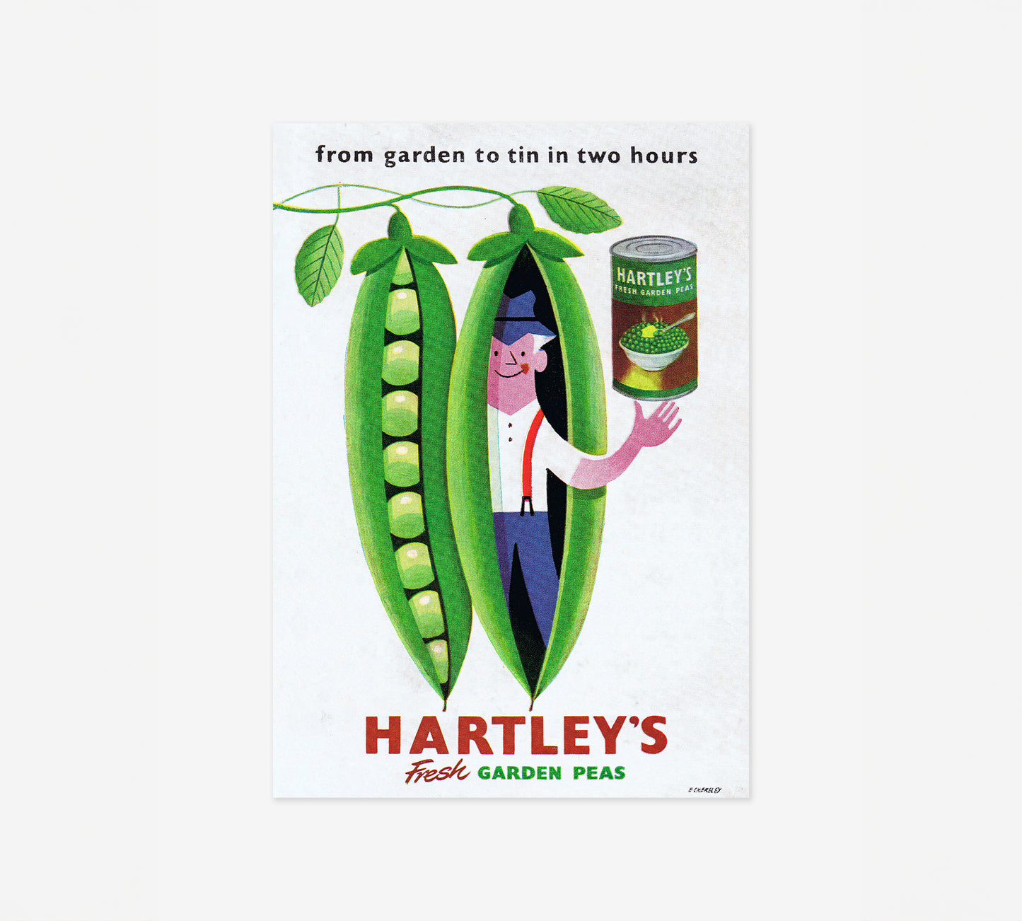 Hartleys Erbsen