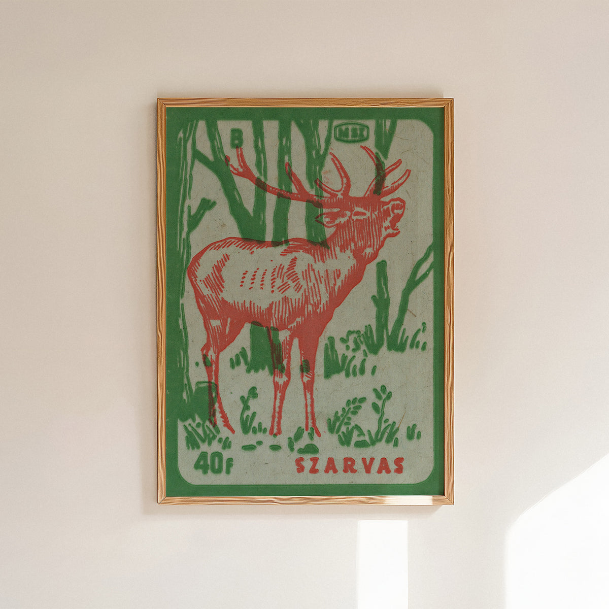 Deer