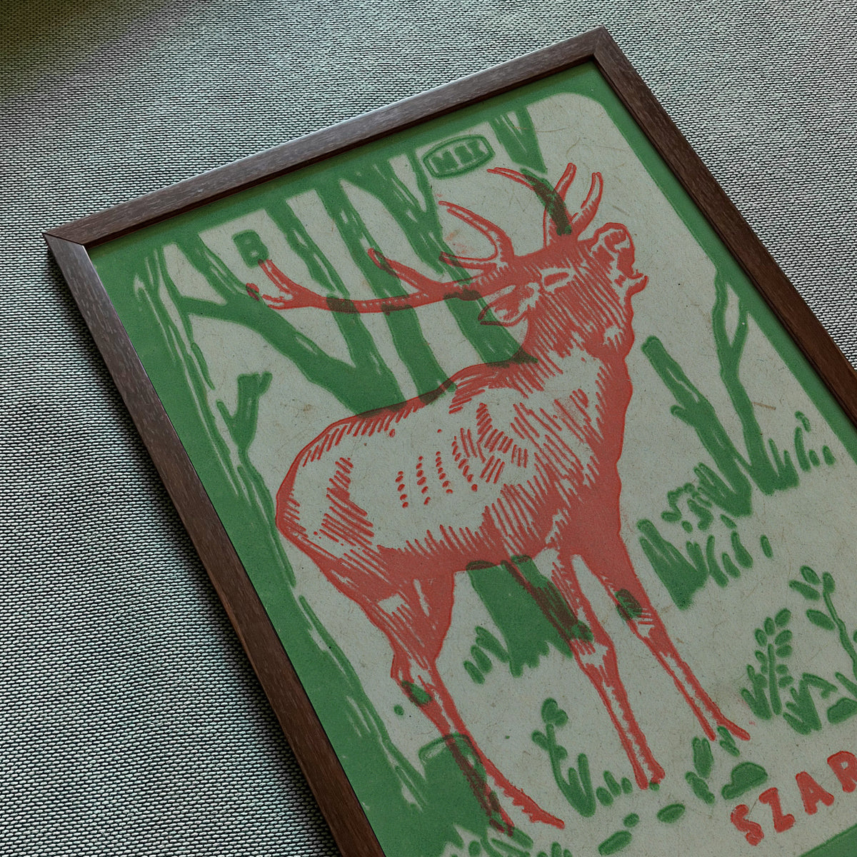 Deer