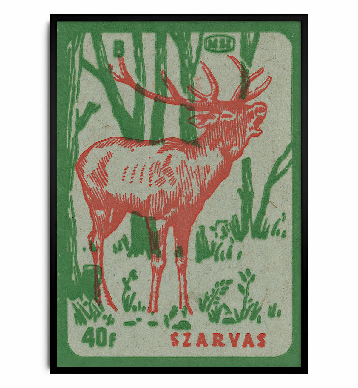 Deer