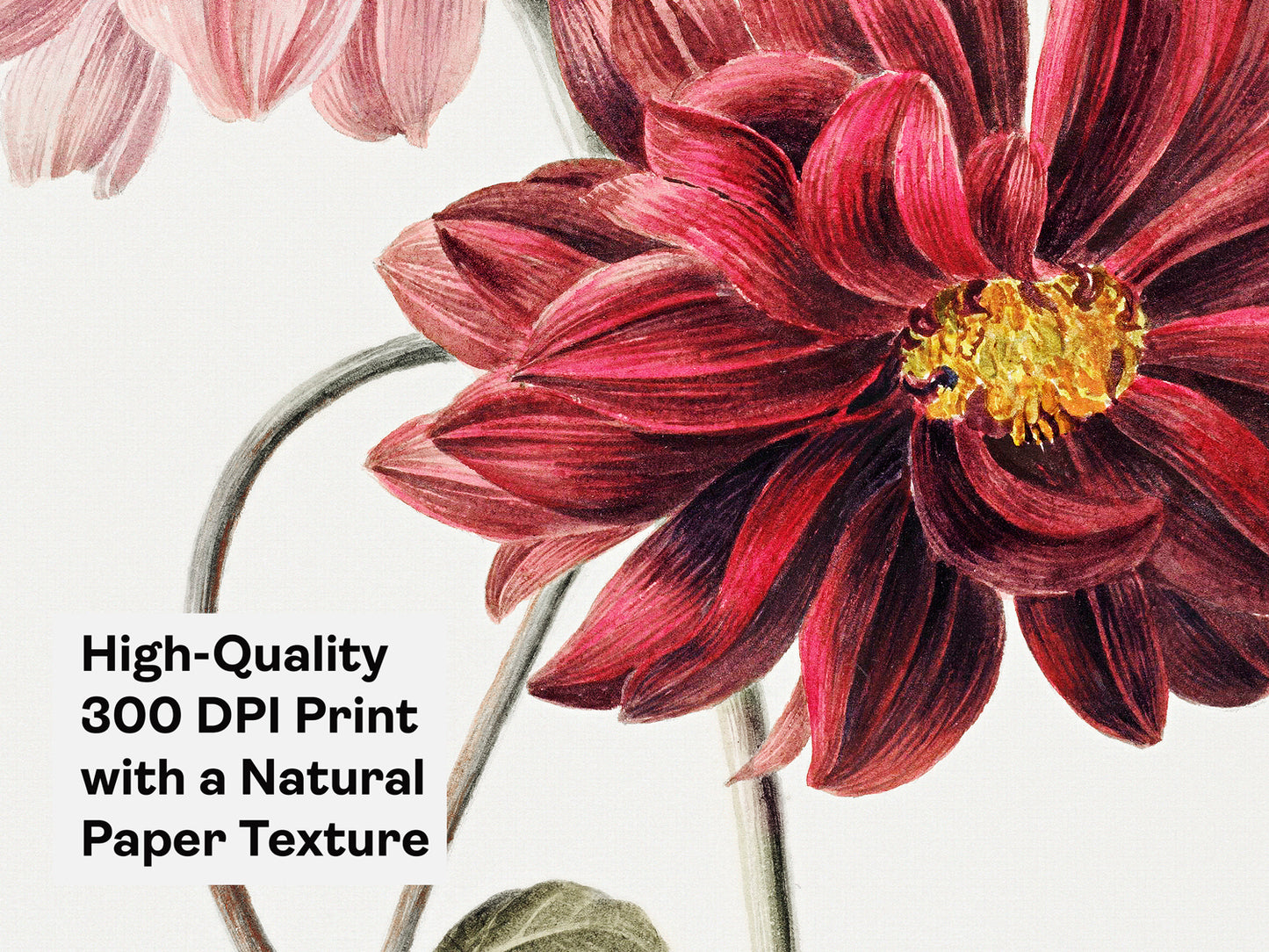 Japanese Peony Exhibition Poster – Japandi Wall Art, Vintage Japanese Print, Contemporary Floral Botanical Artwork