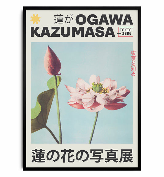 Japanese Lotus Poster – 1896 Kazumasa Ogawa Floral Print