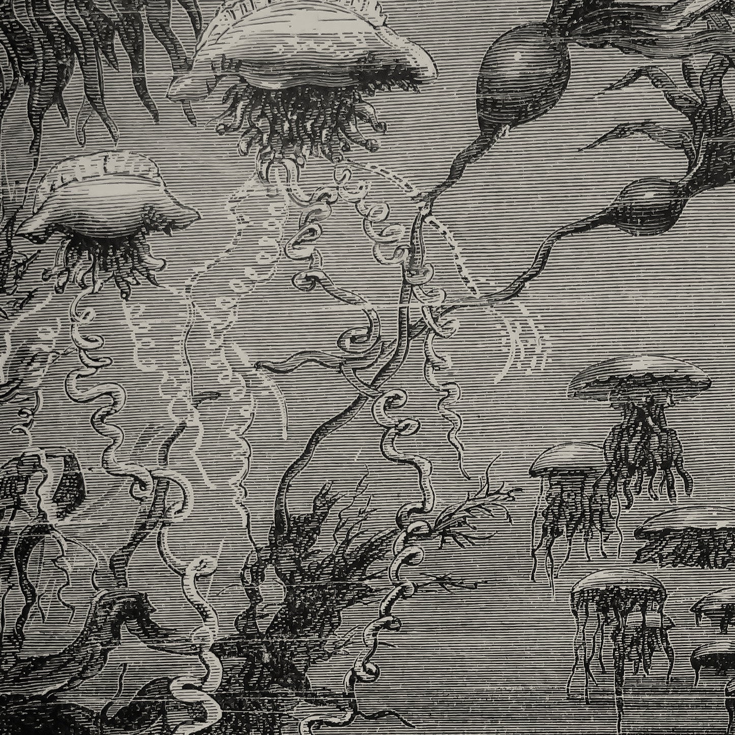 A Walk Under the Waters